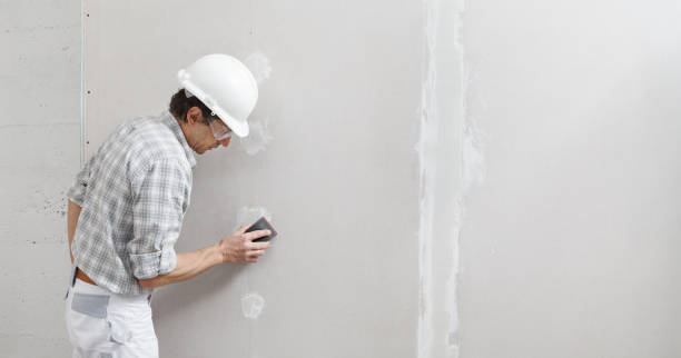 Best Drywall Removal and Disposal  in Oak Creek, WI